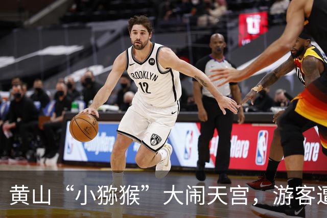 黄山“小猕猴”大闹天宫，游客遭遇“猴子围攻